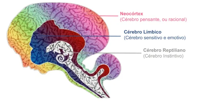 Análisis cerebral de neuromarketing